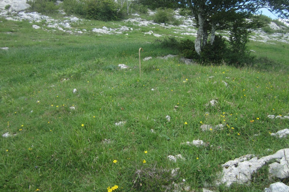 Túmulo Ametzueta (Mayo 2020)