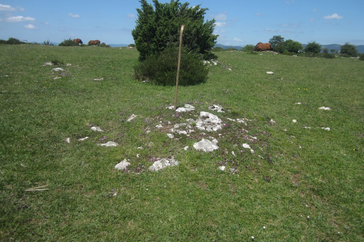 Túmulo nº 5 (Mayo 2020)