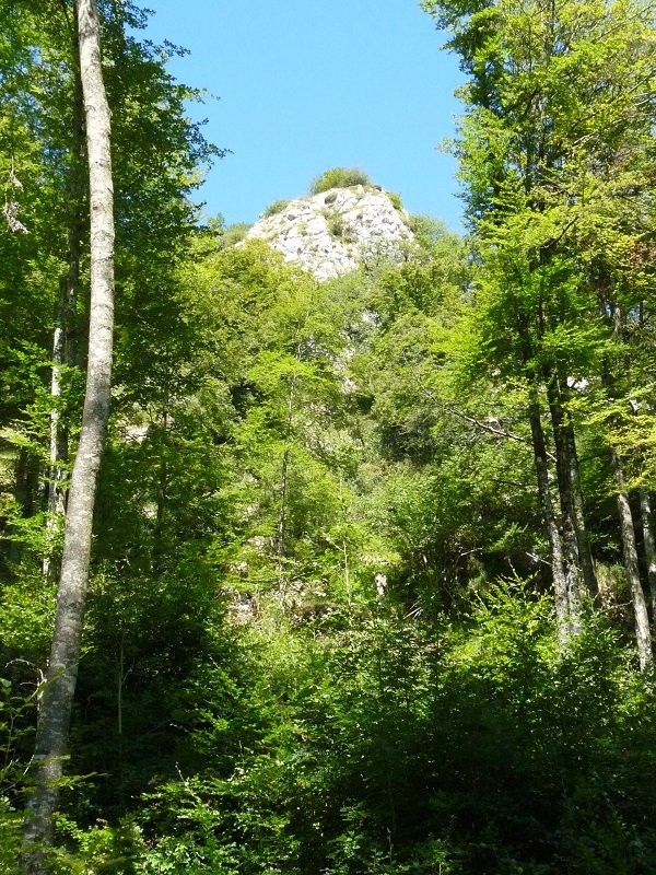 Ekialdeko gailur zirraragarria