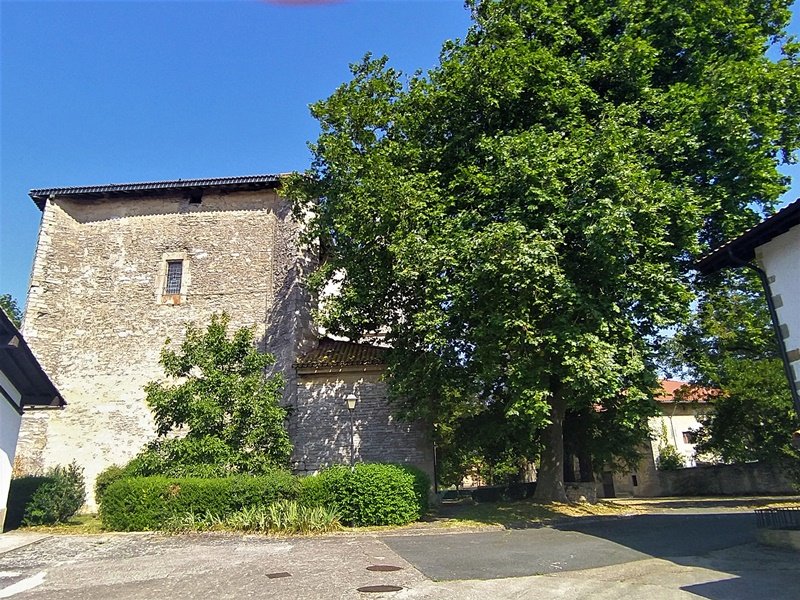 San Martin Eliza Forondan