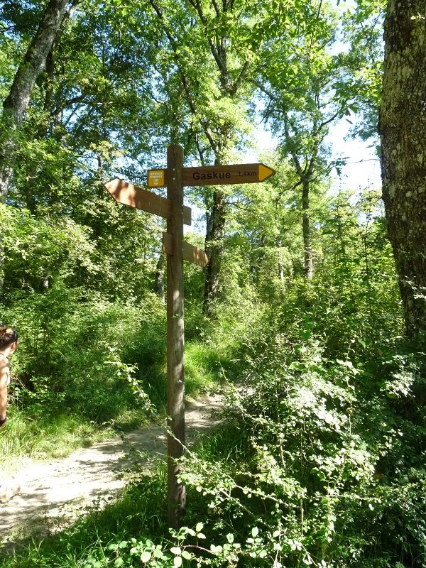 Bidegurutzea Gelbenzu eta Aroztegi artean