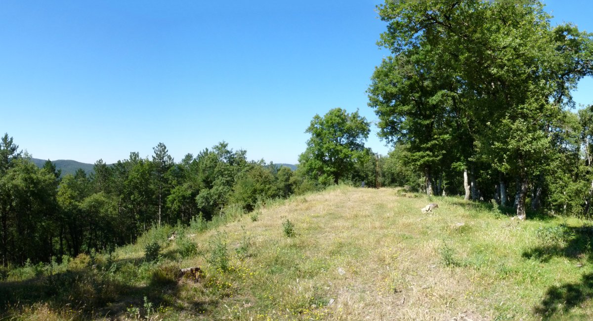 Ollargaingo gailurra