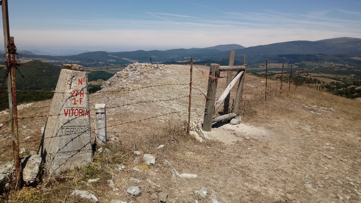 Armikelo (888) tontorra