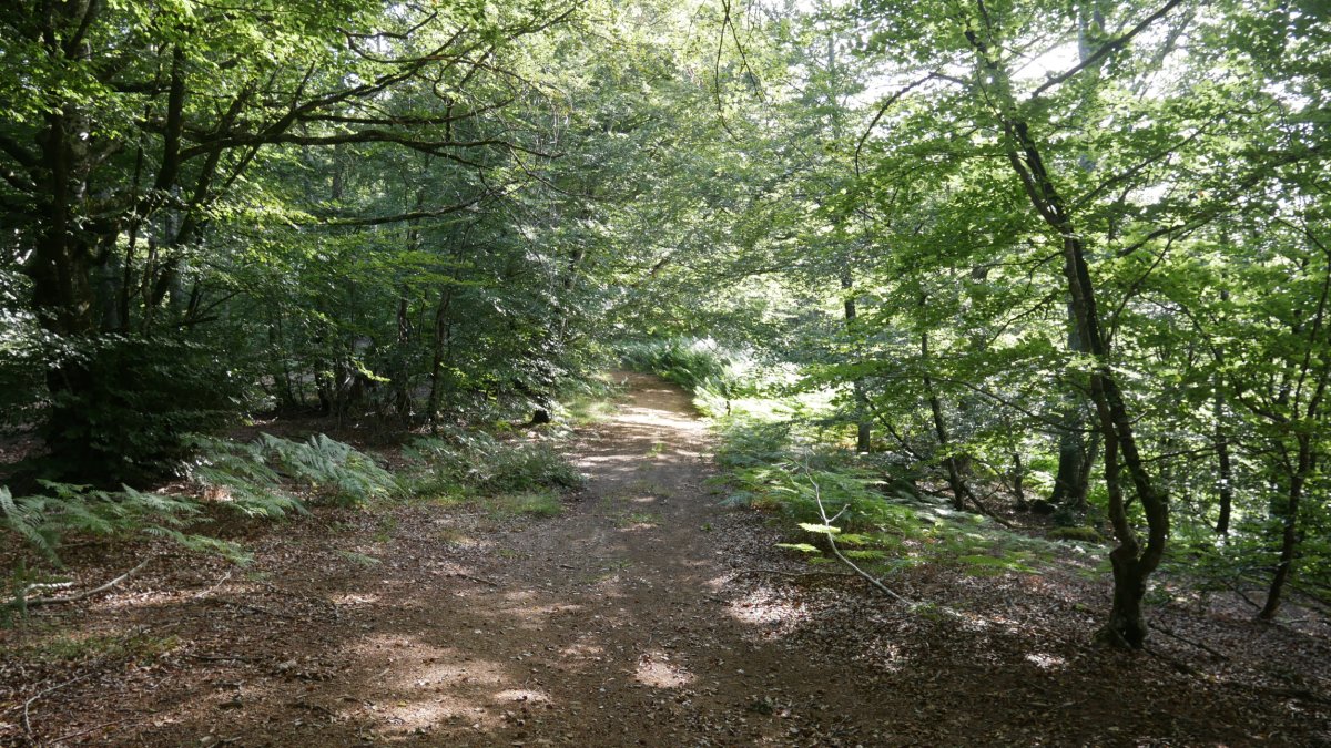 Bi gainen arteko bidea