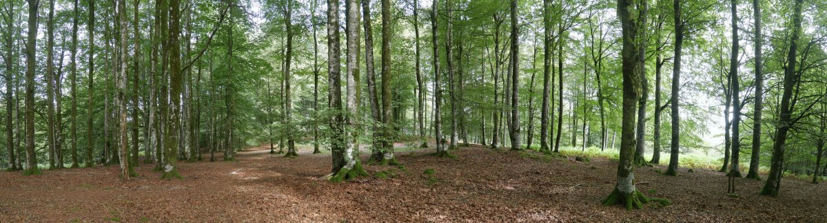 Gainaldeko panoramika