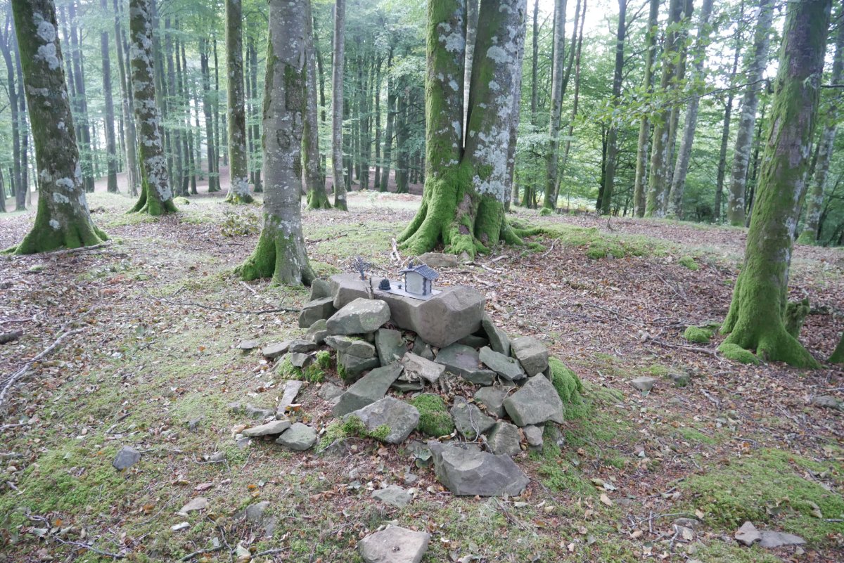 Txartelontzia tontorrean