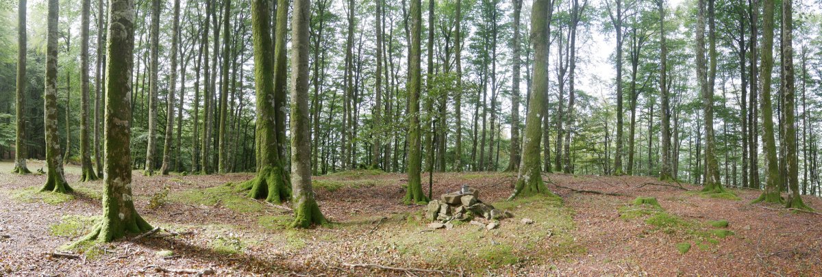 Gailurra eta txartelontzia