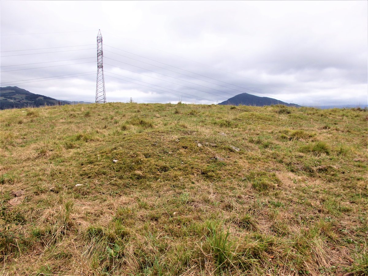 ALTZUSTABERRI V campo tumular