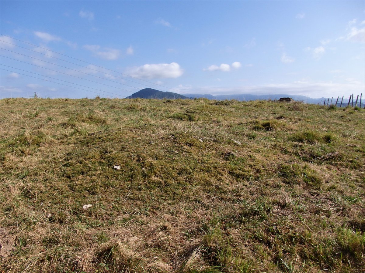 ALTZUSTABERRI V campo tumular