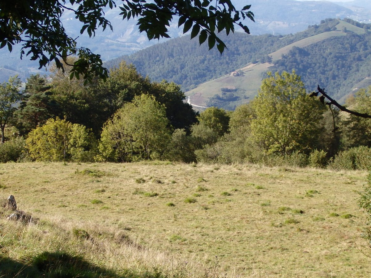 LARRONDO campo tumular
