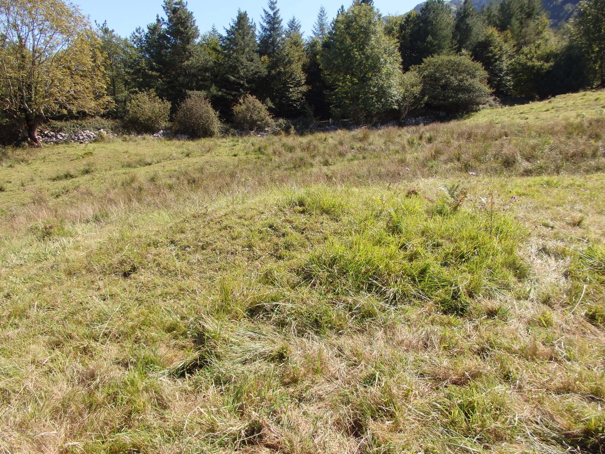 LARRONDO campo tumular