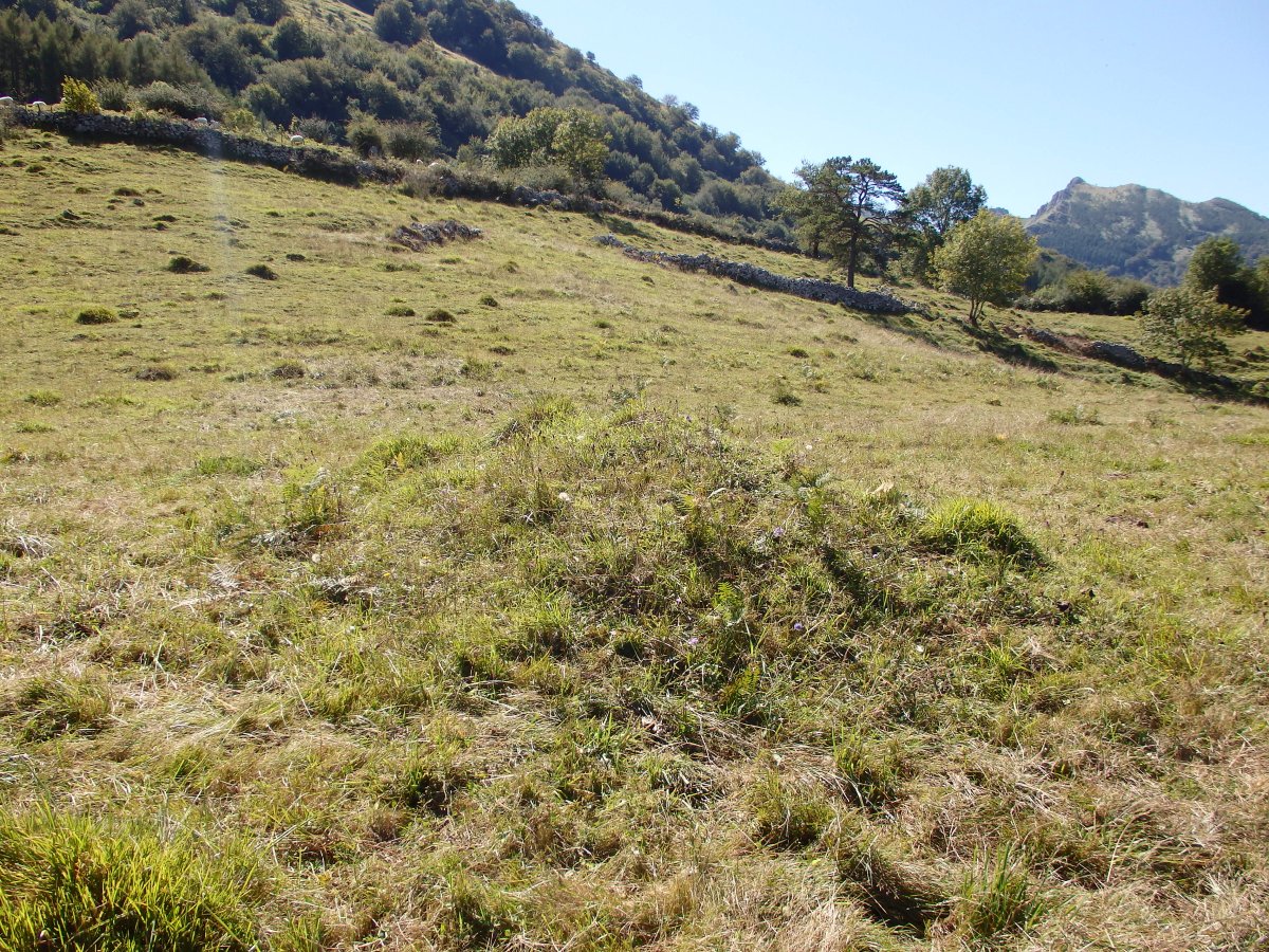 LARRONDO campo tumular