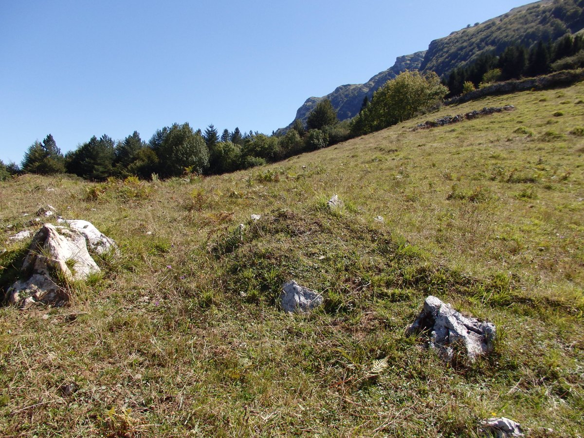 LARRONDO campo tumular