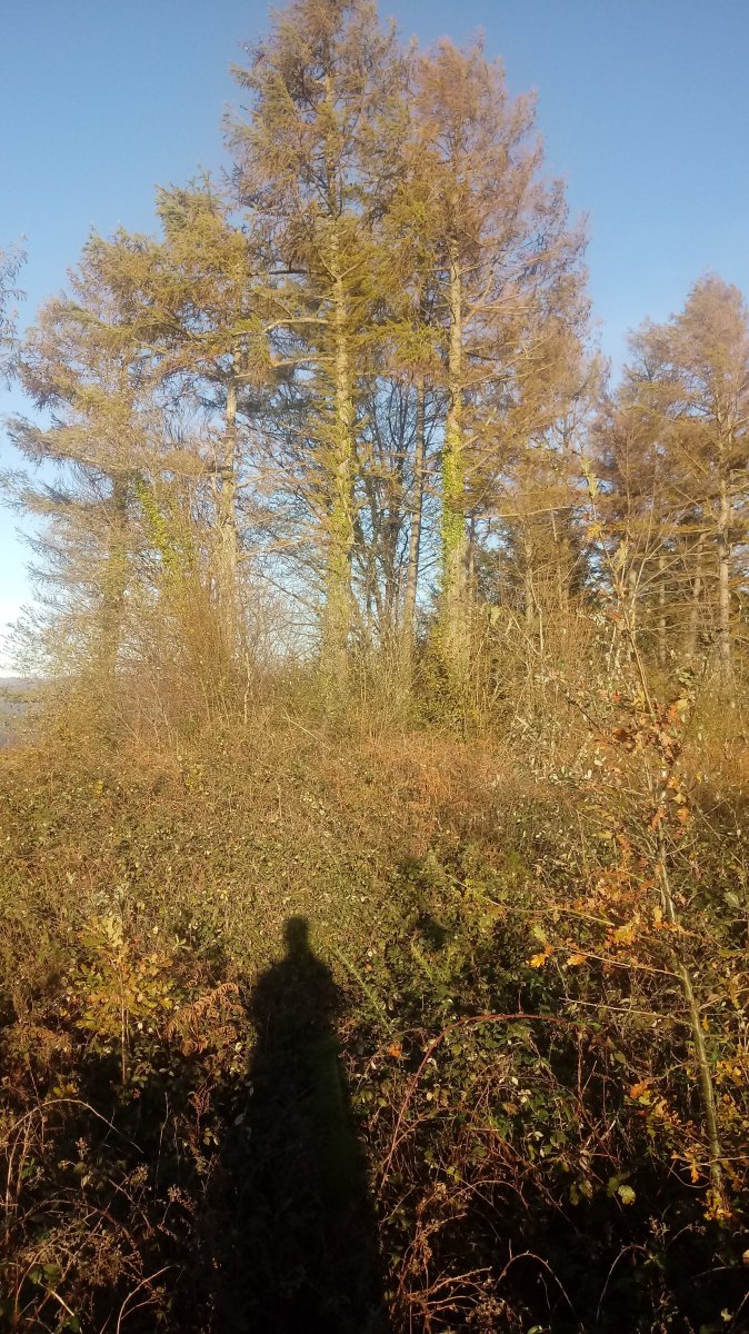 Arteagagaña (595m) tontorra