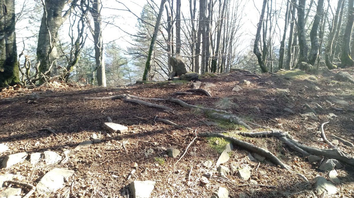 Eskortazarreta (890m) tontorra