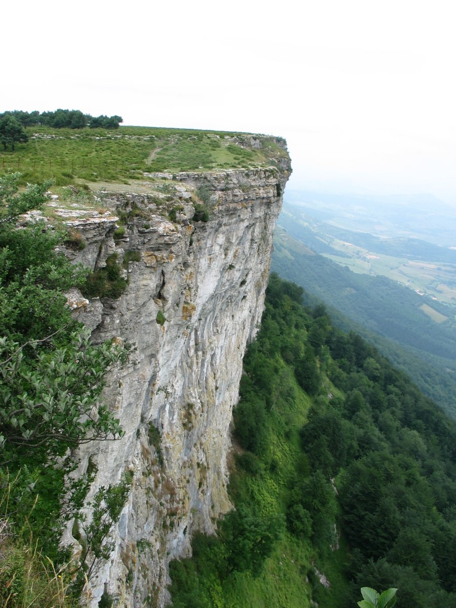 Mendebaldeko gandorra