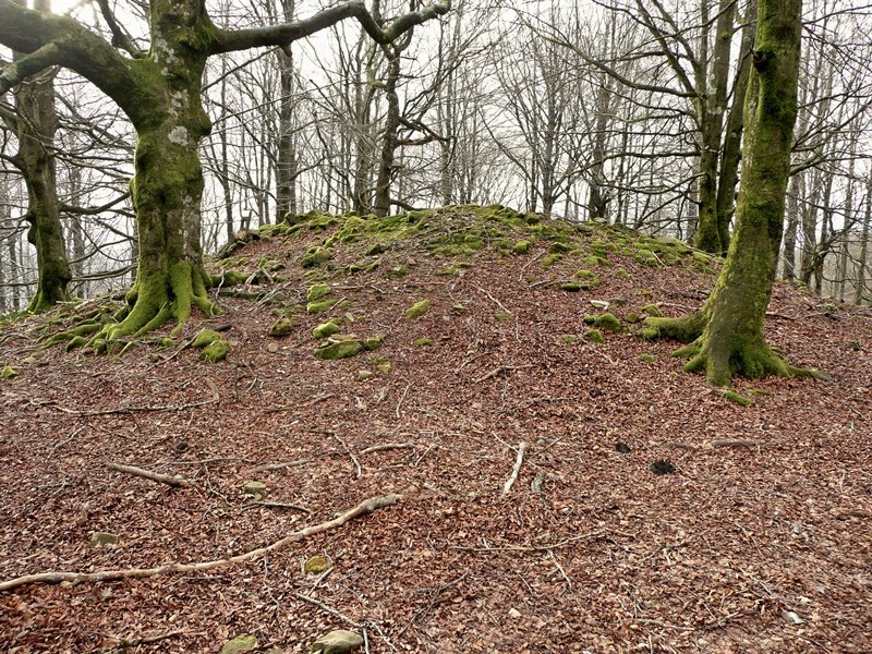 balankaleku Ipar Trikuharria