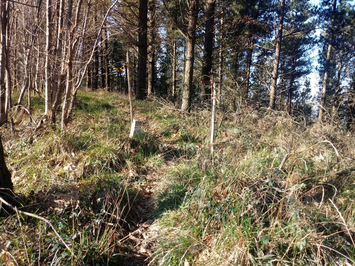 Illargaina (640m) tontorra