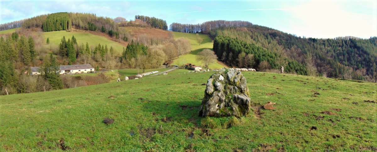 Larrarte Trikuharria