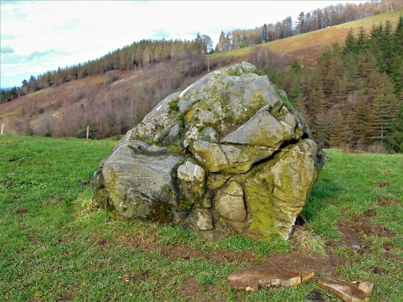 Larrarte Trikuharria