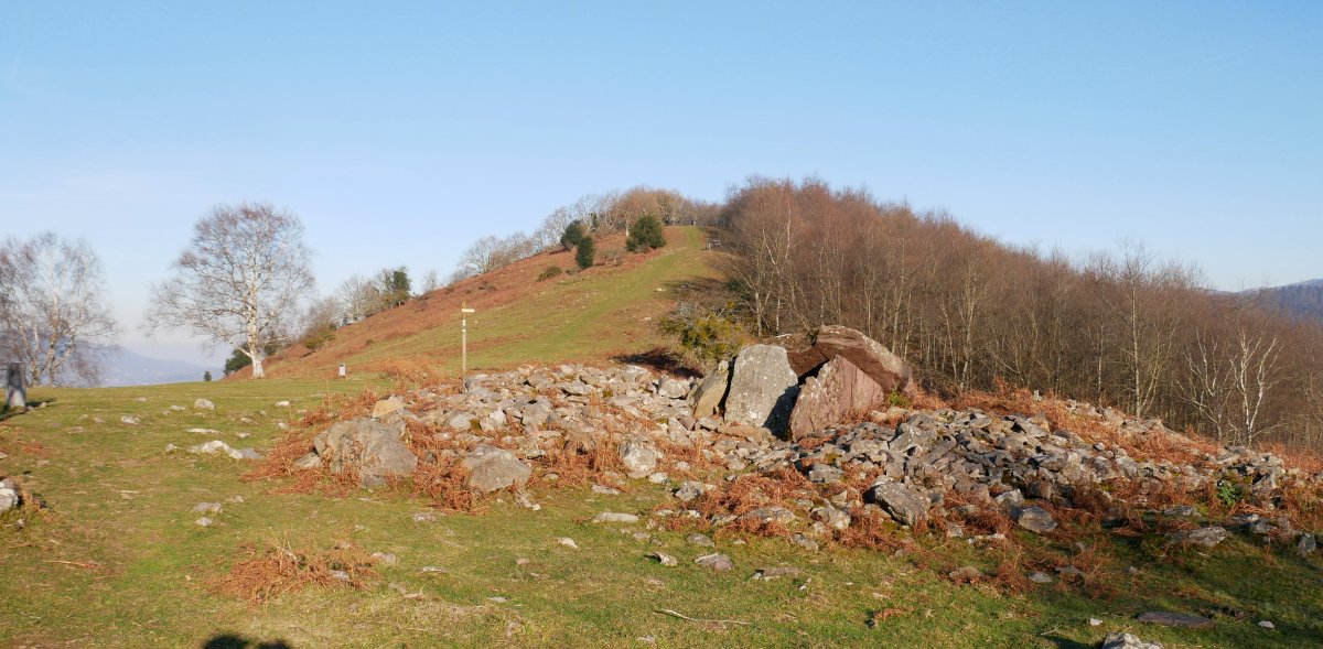 Akolatxara eta Sagatietako Lepoa I trikuharria