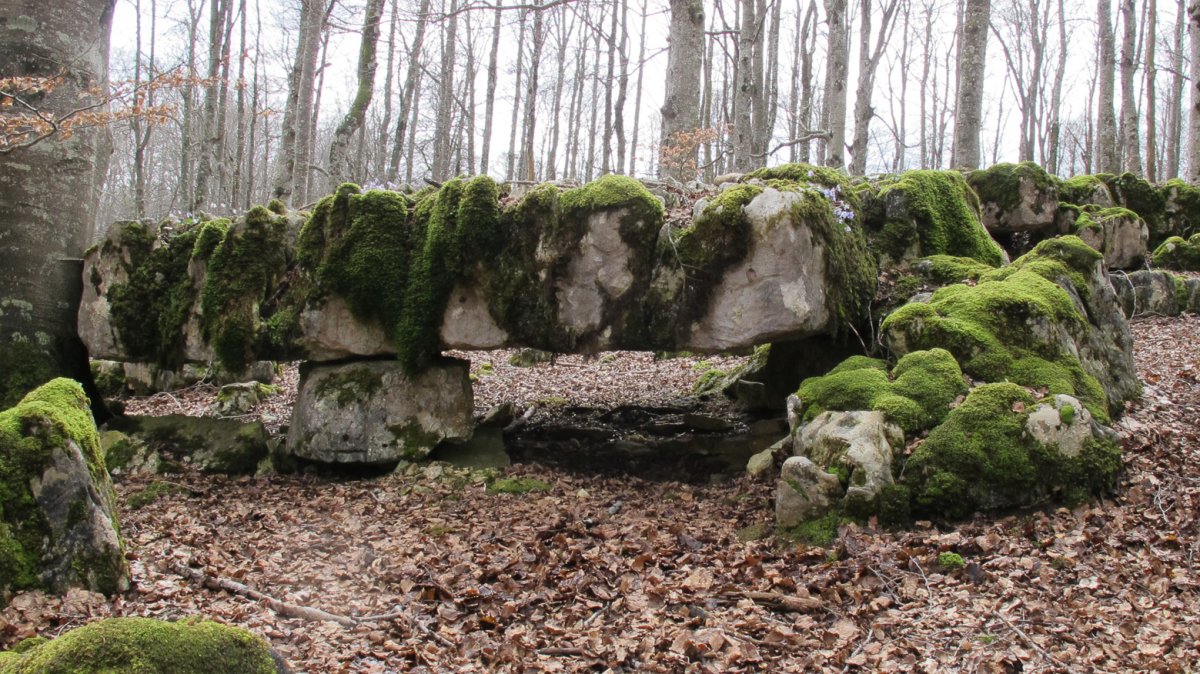 Los Pocicos megalitoa, Entzia