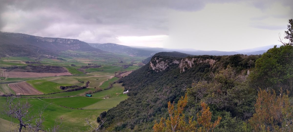 Aizkorriko malkarrak