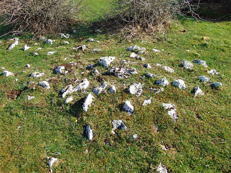 Legaire Bidea Tumulua