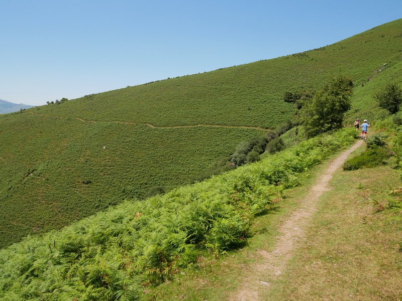 Atxulegi hegoaldetik inguratzen duen bidezidorra