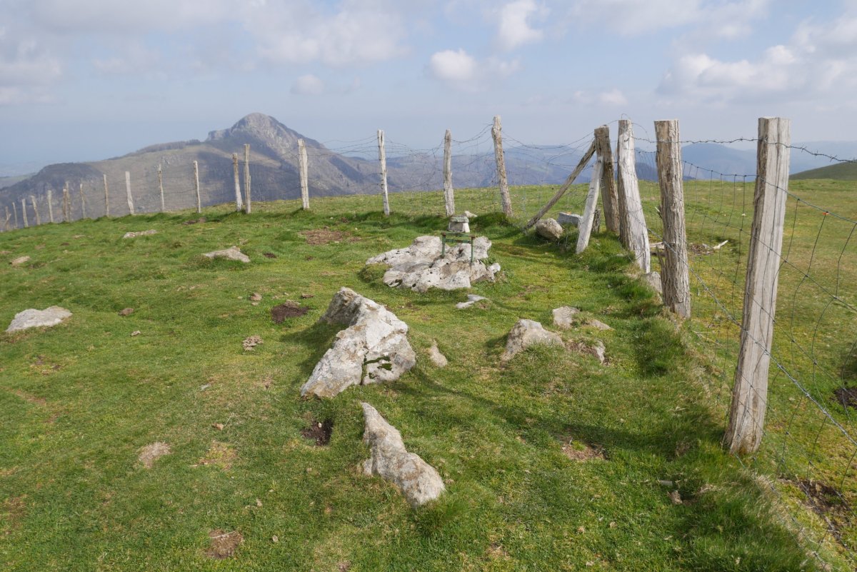 Errenga gailurra, atzean Aiako Harria
