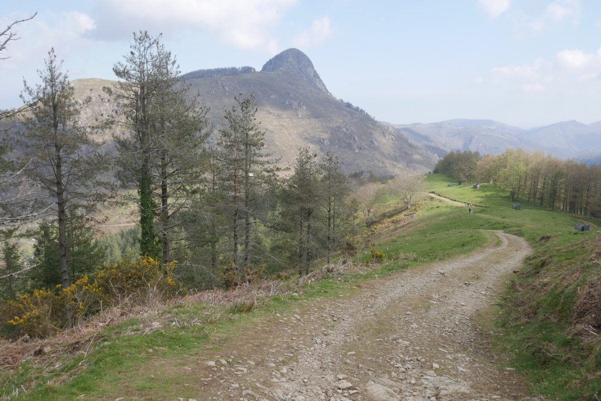 Aritxulegi aldeko bidea