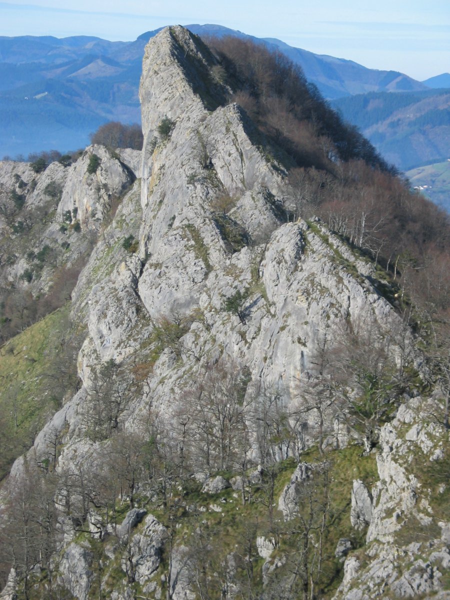 Intzartzu ekialdetik