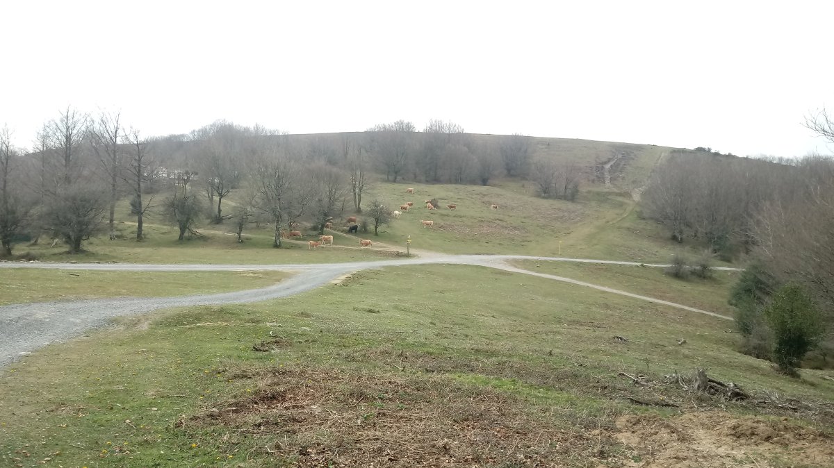 Leizargarateko Lepoa