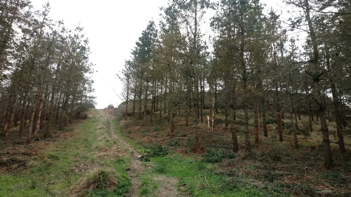 Gaztelu Aitz (705m) azken malda