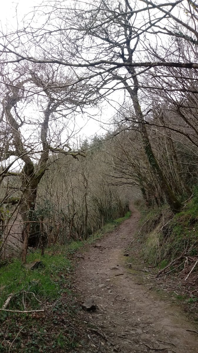 Gaztelu Aitz (705m) bidea