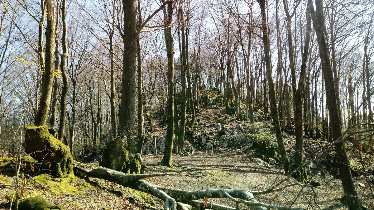 Otsabio eta Laparmendi arteko gandorra