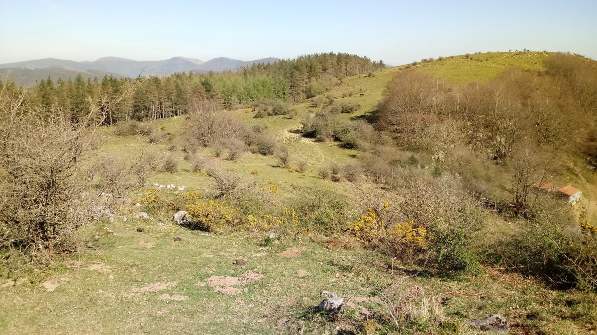 Berroetako lepoa eta Lagarte mendia Erroizpeko igoeratik