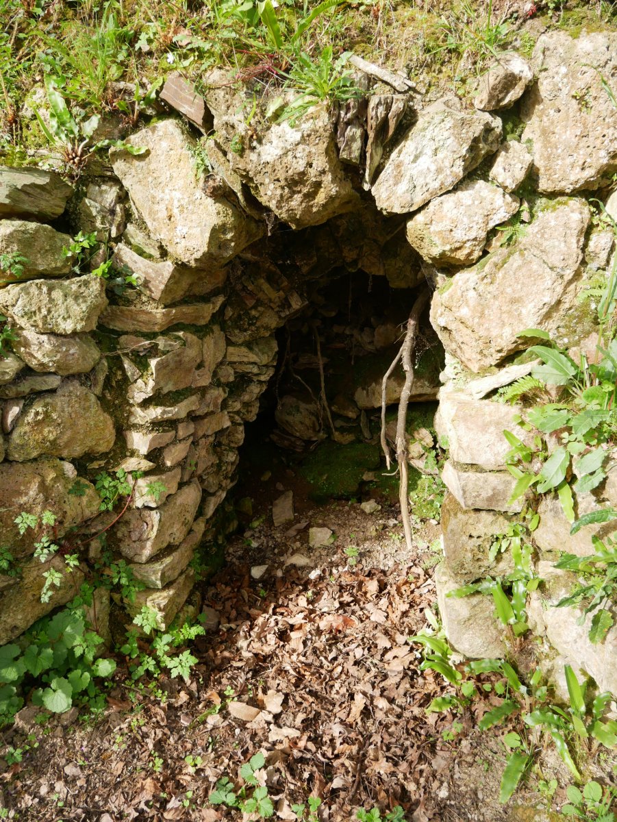 Aginagazpikoa karobia