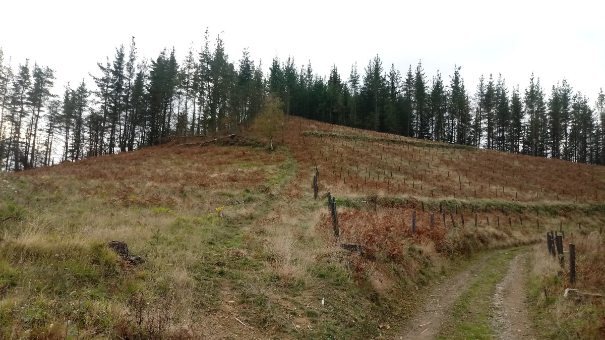 Garbe (513m) hegaletik