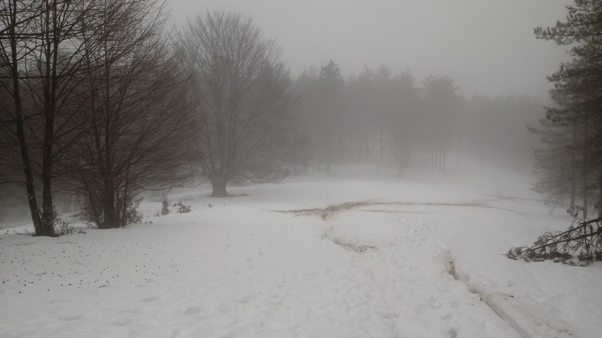 Arrola (904m) tontorrera bidean