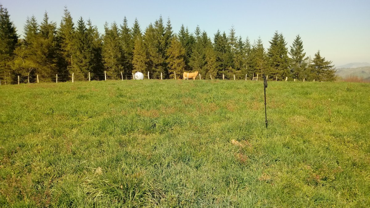 Aizpurutxomendi (631m) gaina