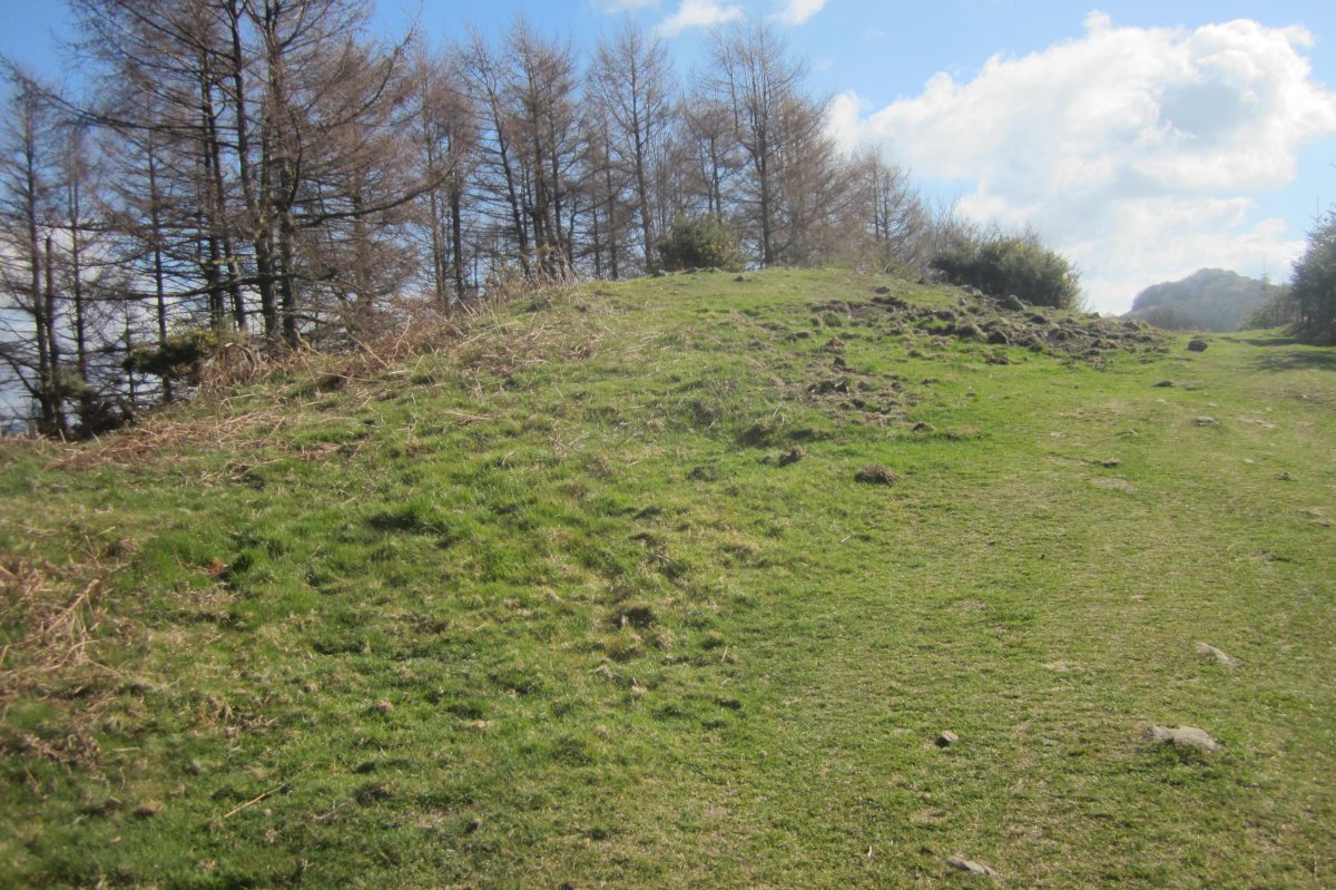 Túmulo Pagomuneta I (Marzo 2019)