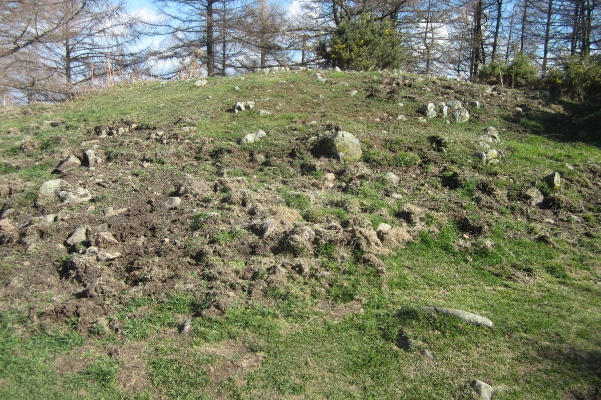 Túmulo Pagomuneta I  (Marzo 2019)