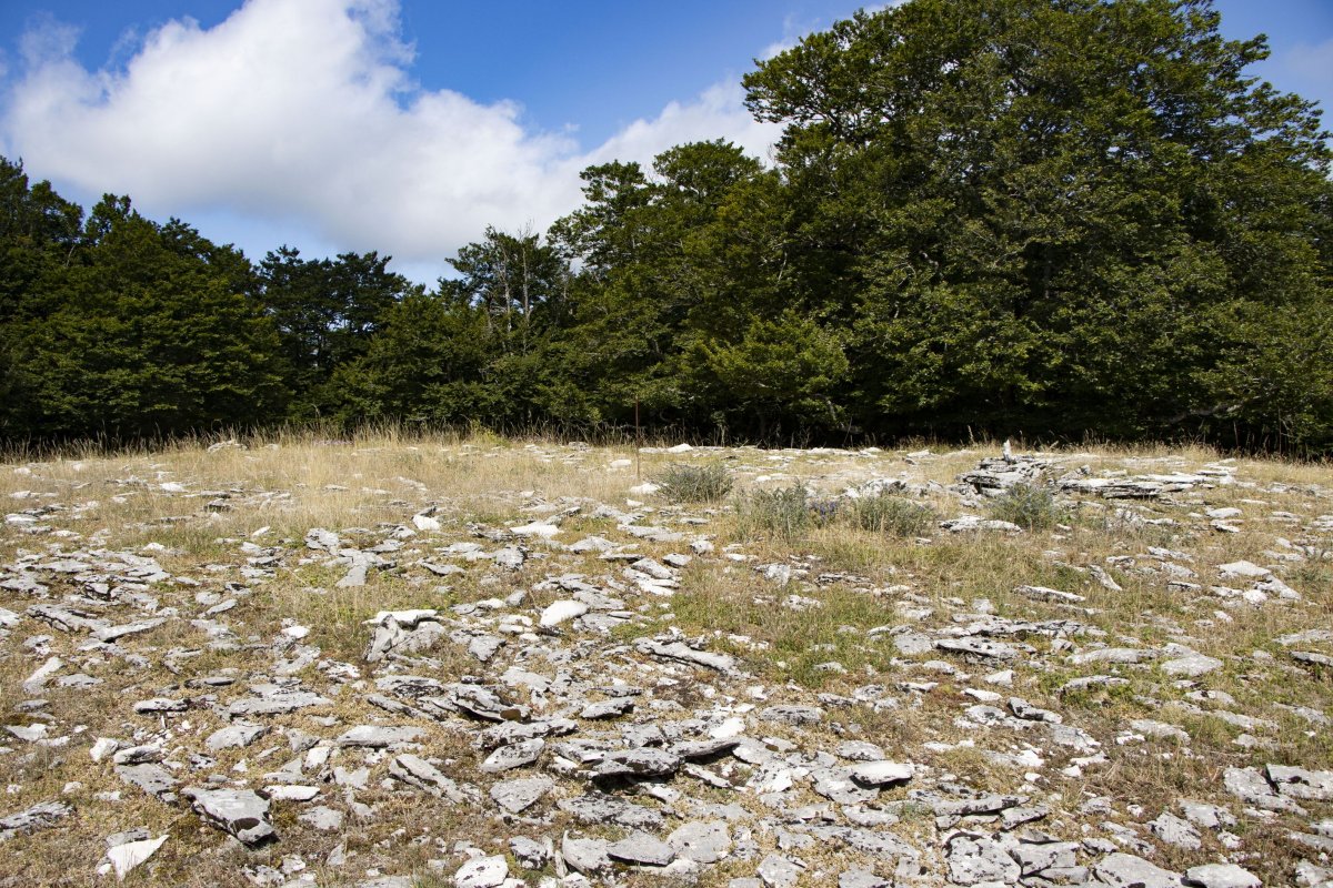 Akuetxiki eraztun tumuloa
