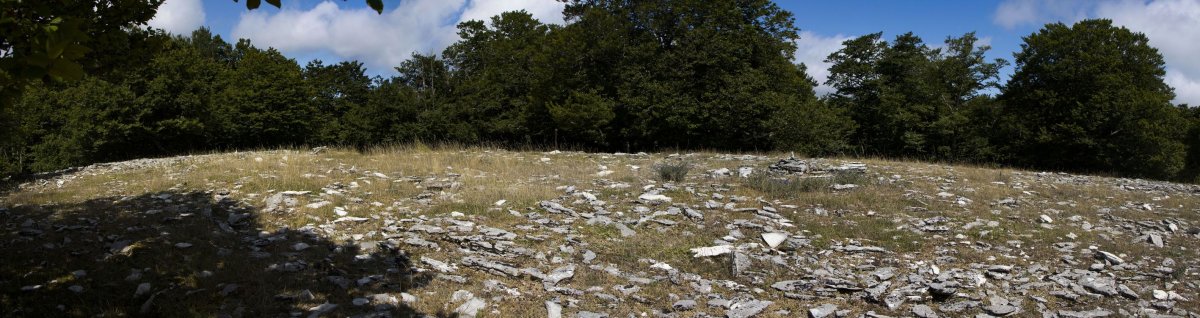 Akuetxiki eraztun tumuloa