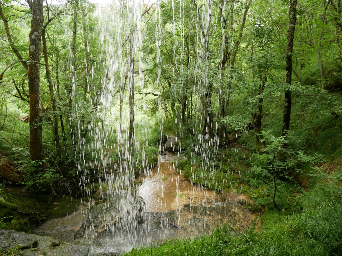 Beste ur jauzi bat bide bazterrean