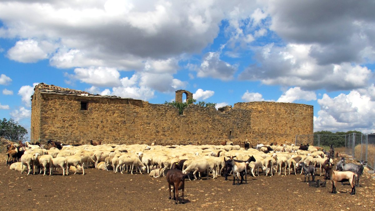 San Isidro ermita, Kaseda
