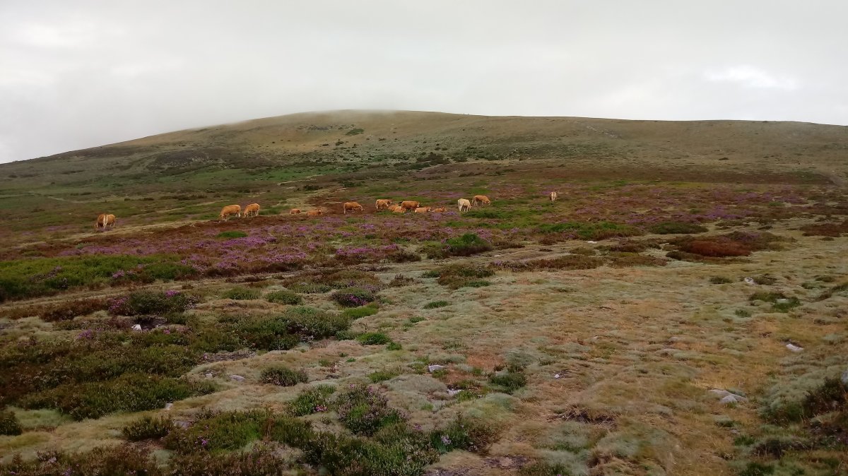 Gorbeia (1482m) Pagazuri aldeko igoeratik