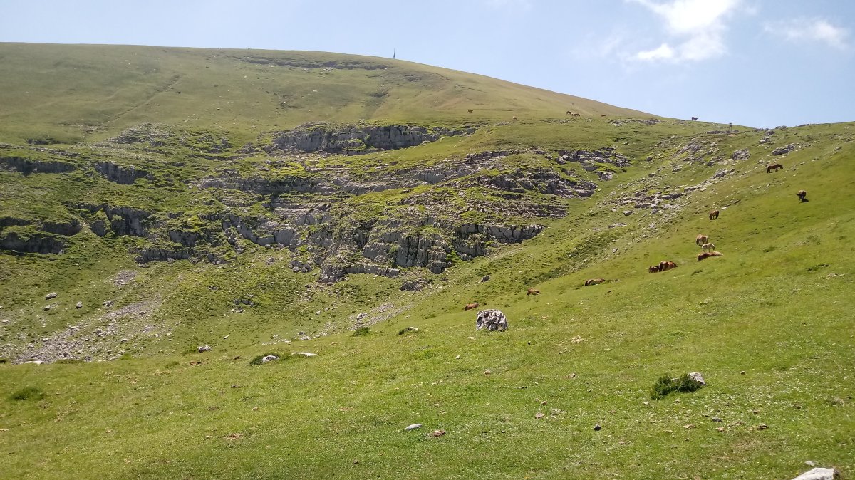 Gorbeia (142m) Aldamineko lepotik