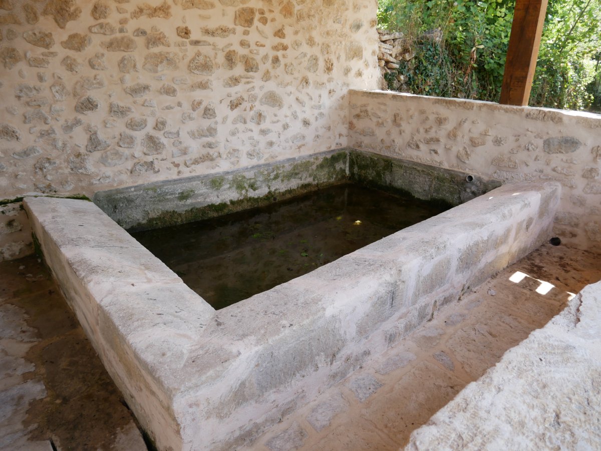 Beheko garbitokia, Aletxa